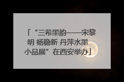 “三希墨韵——宋黎明 杨稳新 丹萍水墨小品展”在西安举办